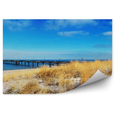 Fototapeta na stenu Most More Pláž Tráva Obloha Mraky