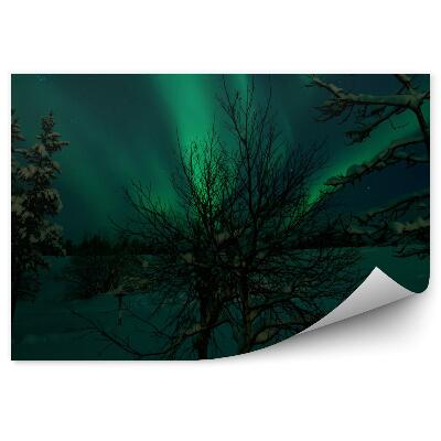 Fototapeta na stenu Tmavý strom