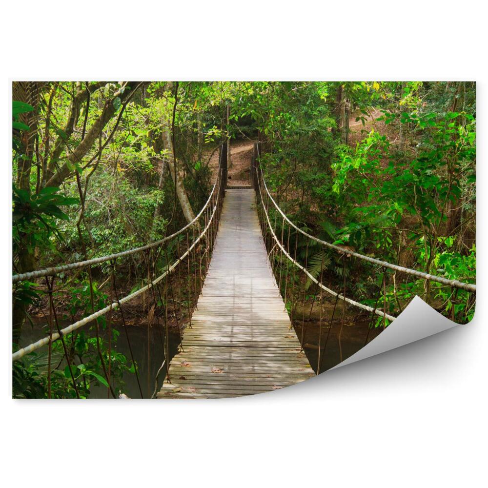 Fototapeta na stenu Most do džungle národný park thajsko