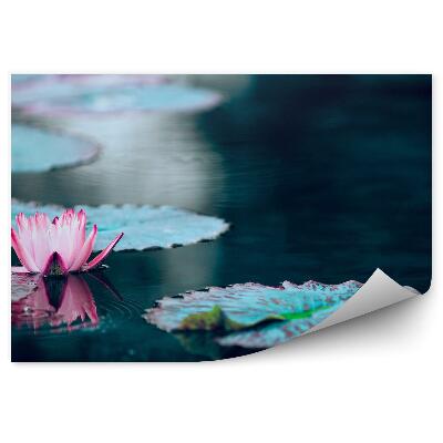 Fototapeta na stenu Tmavý Rybník A Lotosový Kvet