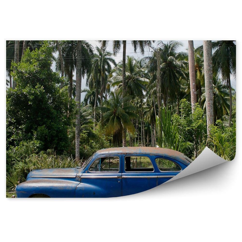 Fototapeta na stenu Kuba Vegetácia Palmy Historické Auto