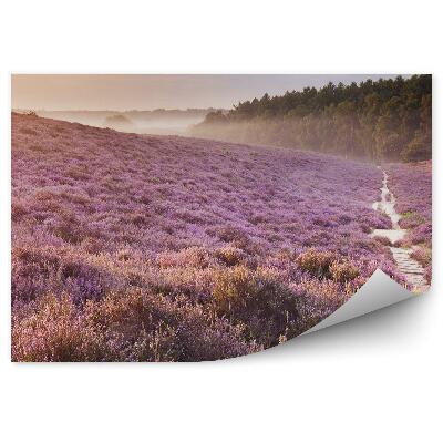 Fototapeta Poľná Cesta Medzi Hmlistými Vresoviskami