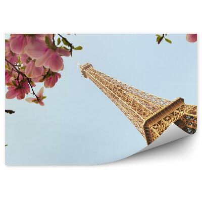 Fototapeta na stenu Drevo v cvetju magnolije Pariz eifflov stolp