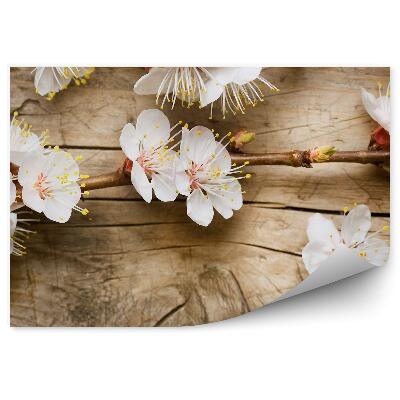 Fototapeta na stenu Jablkový kvet ležiaci na dreve