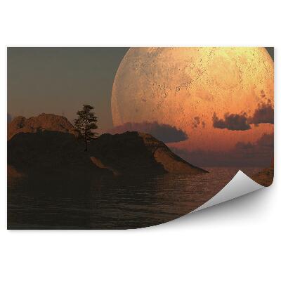 Fototapeta na stenu Ostrov Strom Mesiac Mraky More