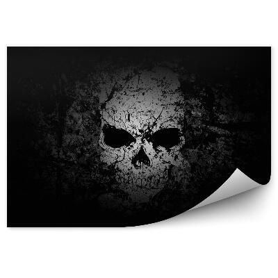 Fototapeta Lebka na tmavom grunge pozadí