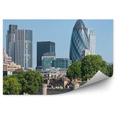 Fototapeta na stenu Mrakodrapy budovy hrad stromy nebo Londýn