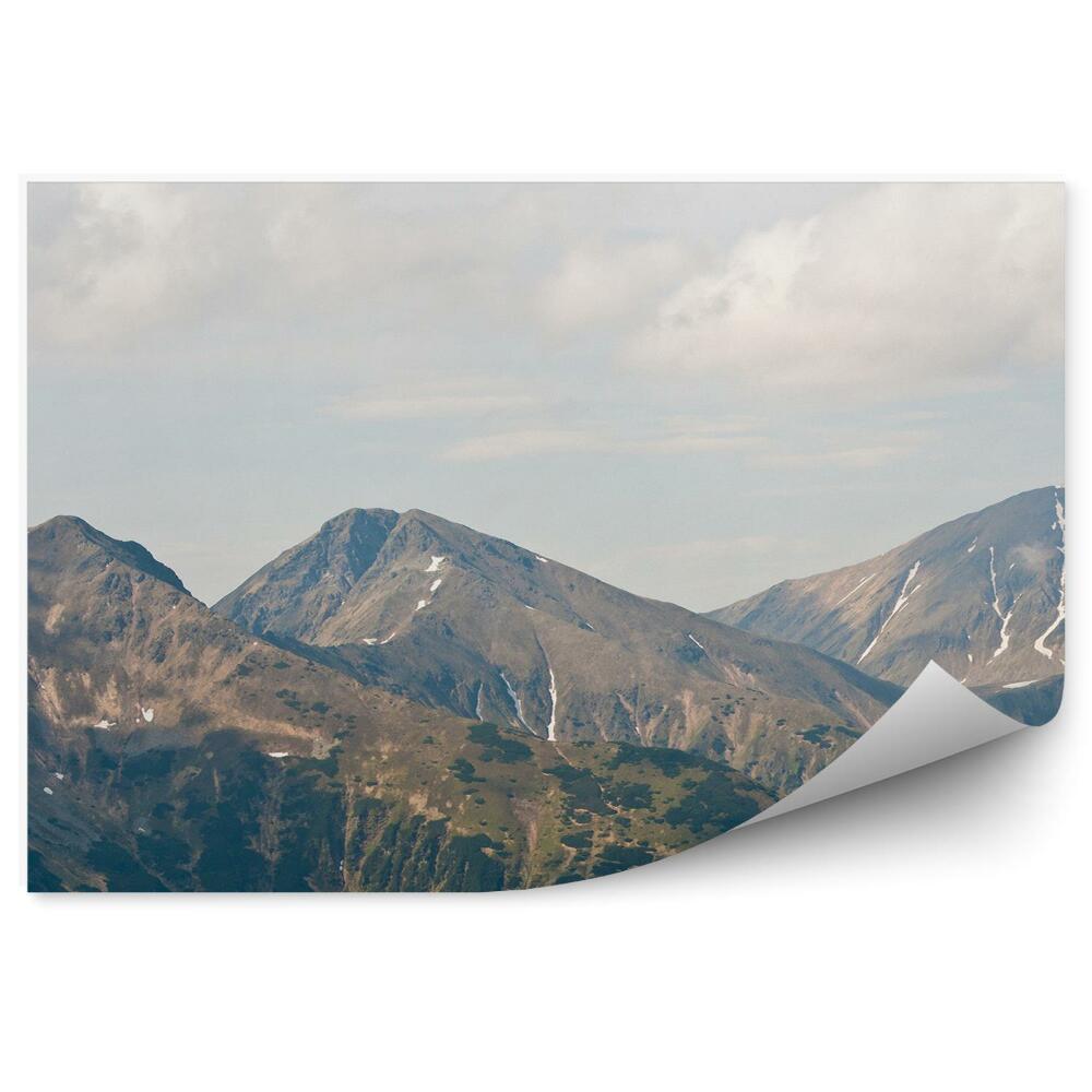 Fototapeta Hory zelená obloha mraky tatra