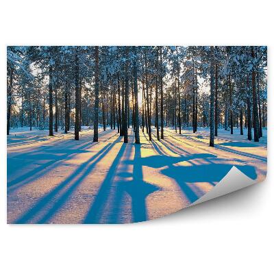 Fototapeta na stenu Zimný les východ slnka