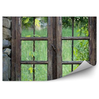 Fototapeta Kamene drevené okno trávnatá zeleň