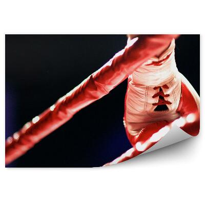Fototapeta na stenu Boksarska rokavica ring