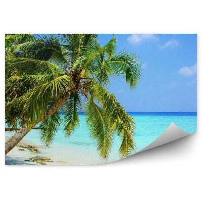 Fototapeta na stenu Maldivy Palmy Príroda Modrá Voda Obloha