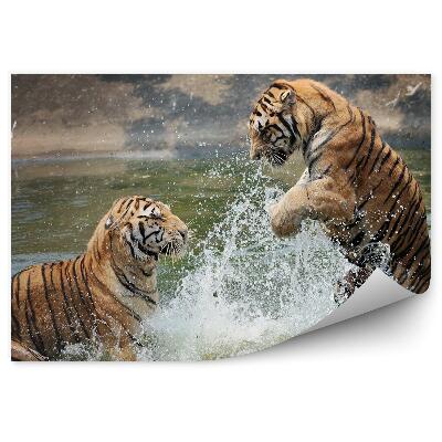 Fototapeta na stenu Tigre hrajúce sa vo vode