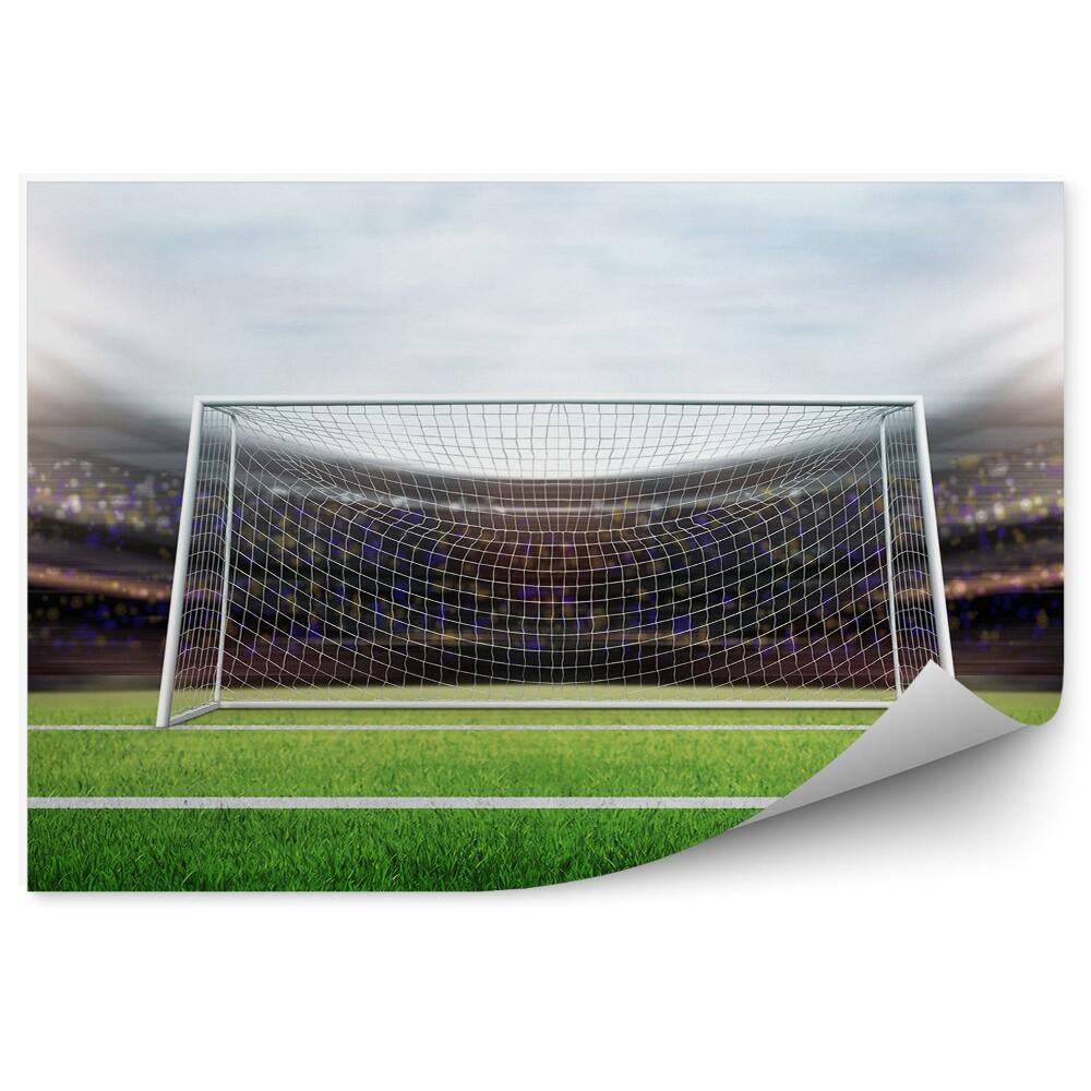 Fototapeta na stenu Goal turf navijaška tekma
