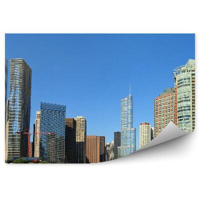 Fototapeta na stenu Chicago mrakodrapy stromy rieka