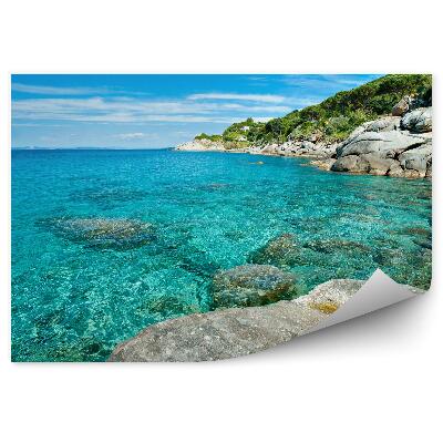 Fototapeta Elba Ostrov Pláž Skaly Stromy Príroda