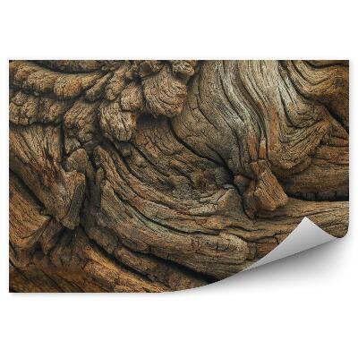 Fototapeta Dubové drevo