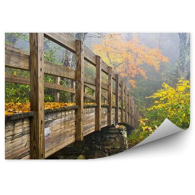 Fototapeta na stenu Mosty Listy Stromy Kríky Listy Obloha