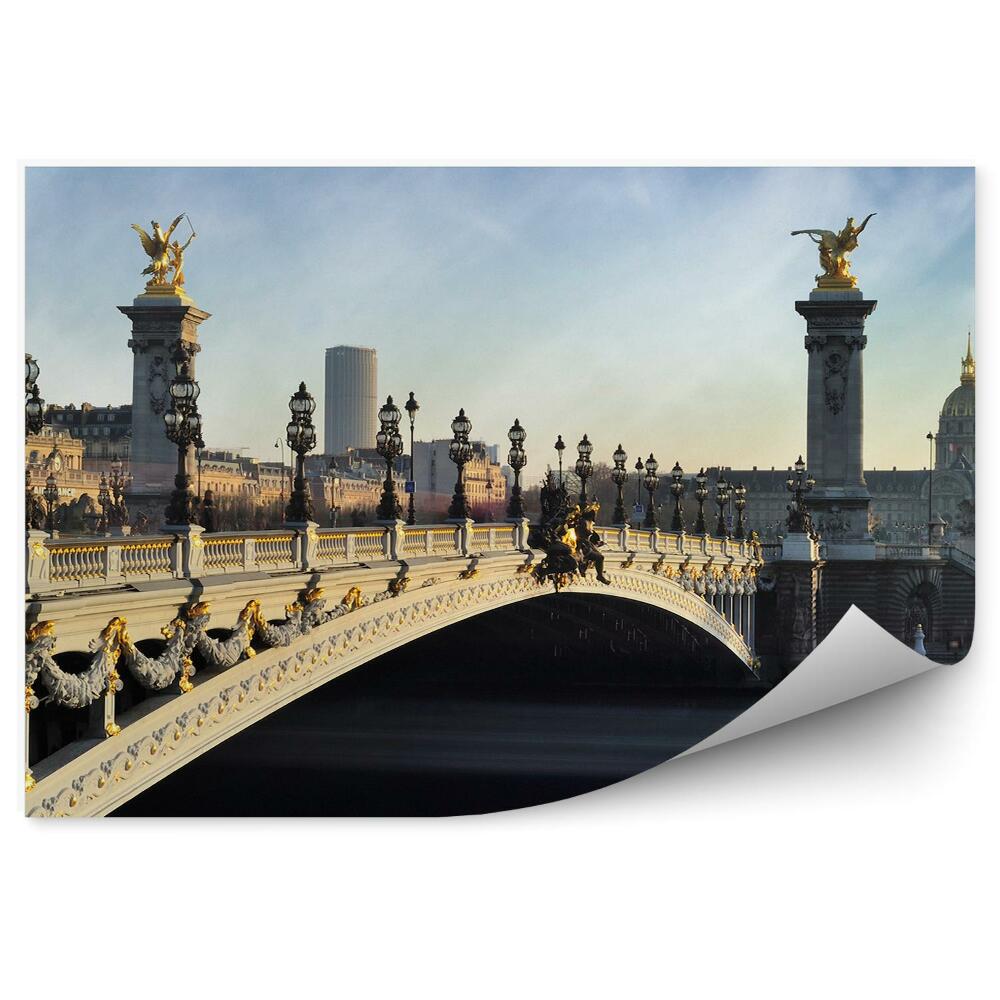 Fototapeta Alexander III most Paríž obloha Seina