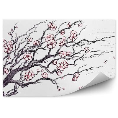 Fototapeta na stenu Čerešňové Kvety Obrázok