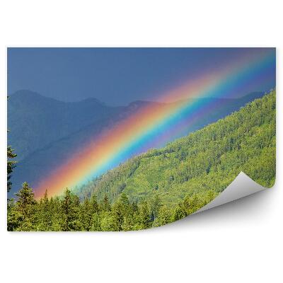 Fototapeta na stenu Dúha Les Stromy Hory