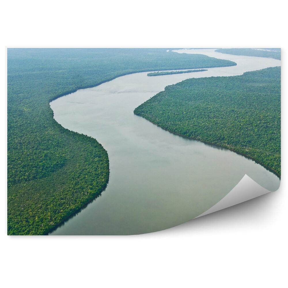 Fototapeta na stenu Amazonská rieka džungľa stromy