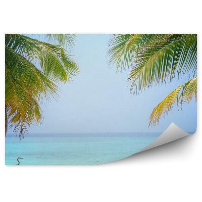 Fototapeta Luxusné Tropické Vtáky Palmy