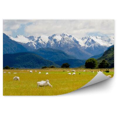 Fototapeta na stenu Ovce hory alpy stromy rastliny sneh zima obloha mraky