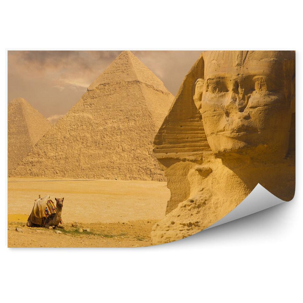 Fototapeta Kamel, ki počiva ob veliki sfingi