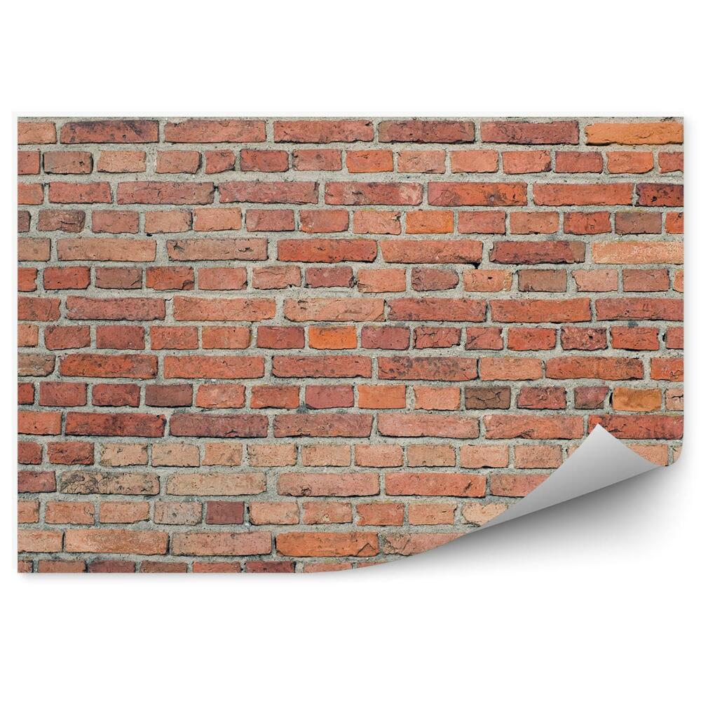 Fototapeta na stenu Tehlová stena