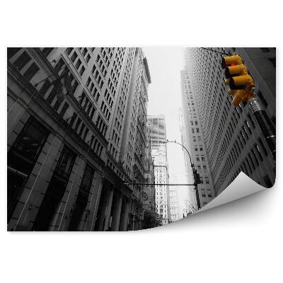 Fototapeta na stenu New yorkaise avenue