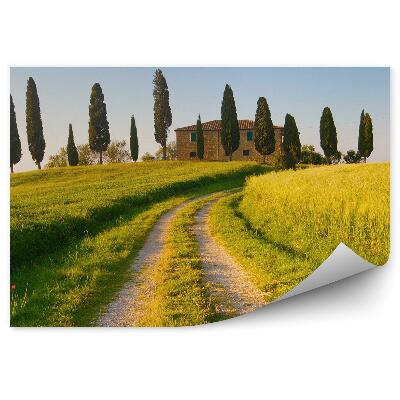 Fototapeta na stenu Vila Toskánsko pole aleja stromy