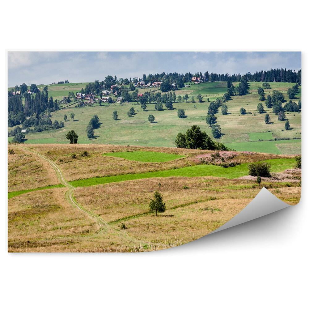 Fototapeta Lúka cesta stromy rastliny vidiek