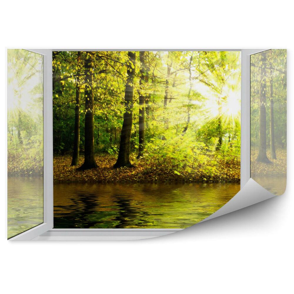 Fototapeta Pohľad z otvoreného okna na rieku a les