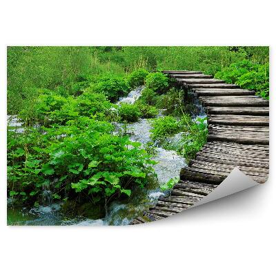 Fototapeta Drevený Most Stromy Vodopád Kríky