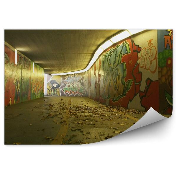 Fototapeta Graffiti v podzemnej chodbe