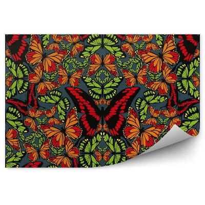 Fototapeta na stenu Tapeta s motýľom