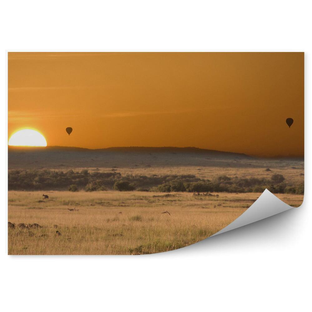 Fototapeta Gepardy Afrika Balóny Slnko Tráva