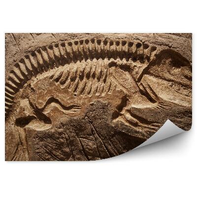 Fototapeta na stenu Odraz kostry dinosaura