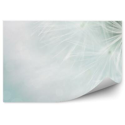 Fototapeta na stenu Dúhovka