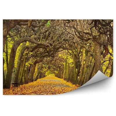 Fototapeta na stenu Jesenná aleja park gdansk listy les