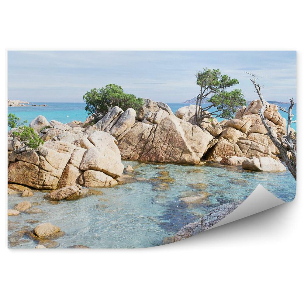 Fototapeta na stenu Skaly Stromy Oceán Zelená Obloha