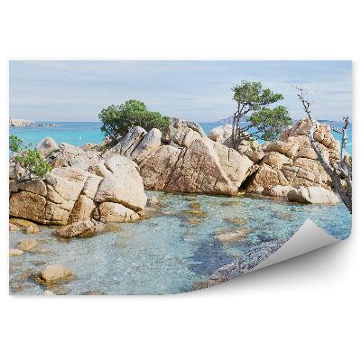 Fototapeta na stenu Skaly Stromy Oceán Zelená Obloha