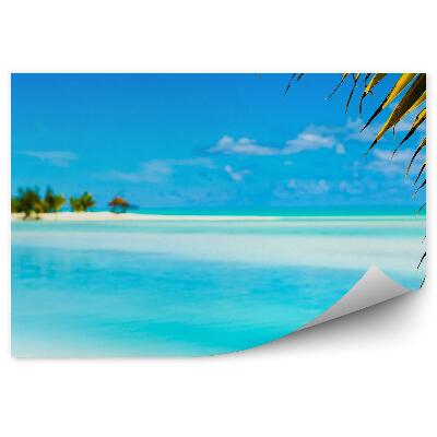 Fototapeta Palmy listy modrá voda obloha