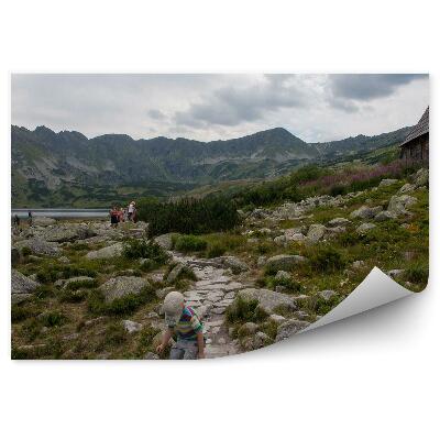 Fototapeta Tatry more oko stromy chata obloha mraky ľudia