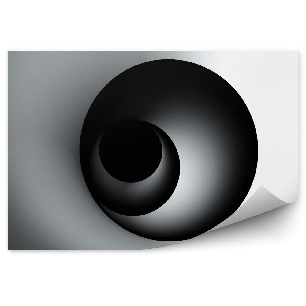 3d fototapeta Čiernobiela špirála 3d
