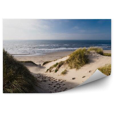 Fototapeta Duny púšť tráva oceán more obloha mraky