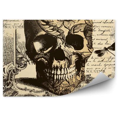 Fototapeta na stenu Lebka