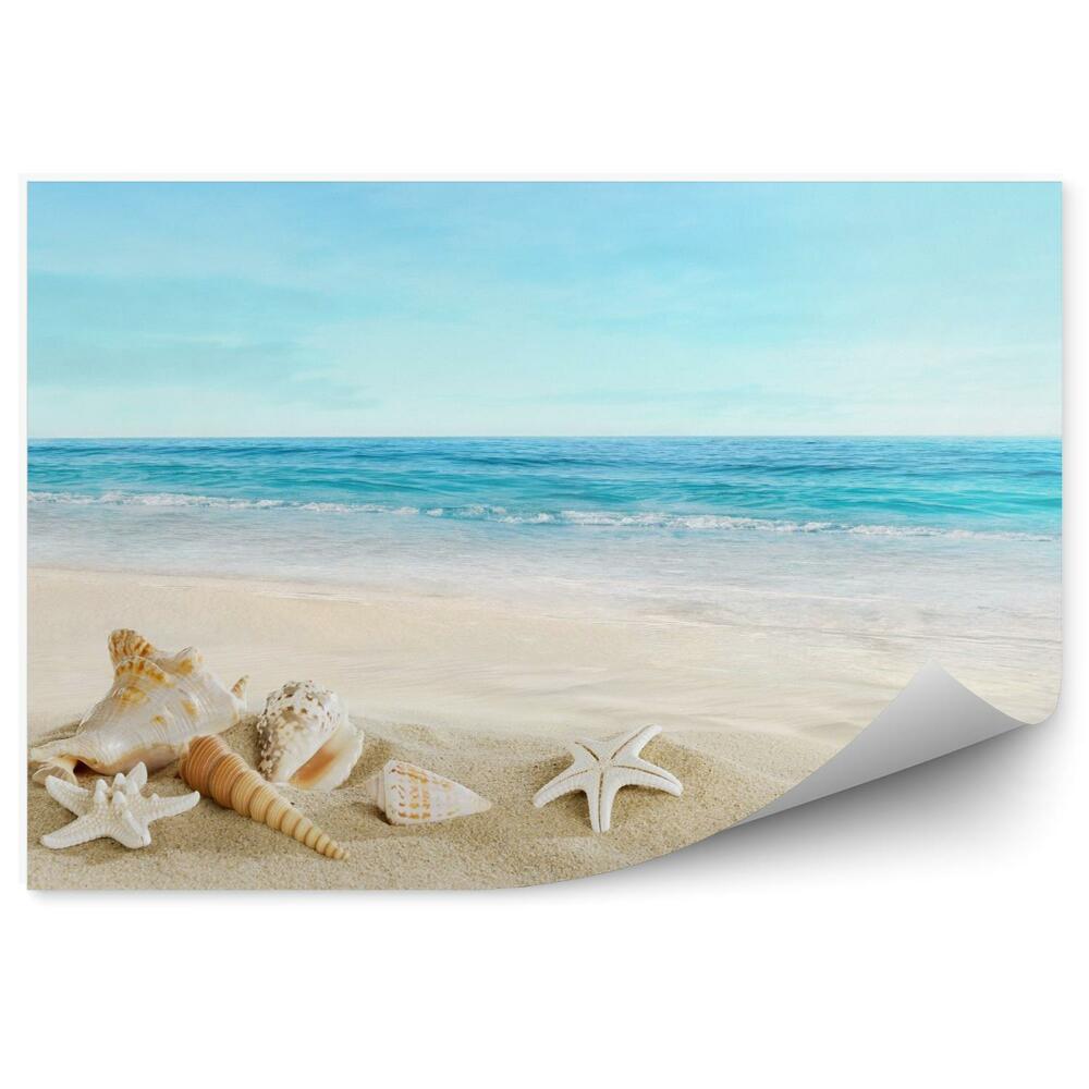 Fototapeta na stenu Mušľová krajina na tropickej pláži