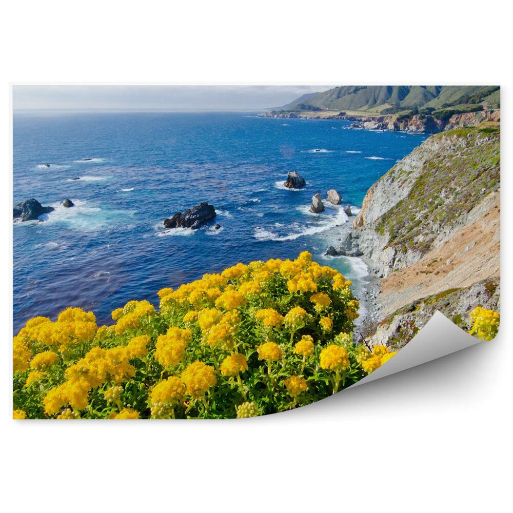 Fototapeta Kvety rastliny oceán hora obloha mraky Kalifornia Los Angeles
